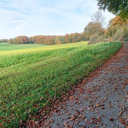 Willa Haus Im Grunen Billerbeck Zewnętrze zdjęcie